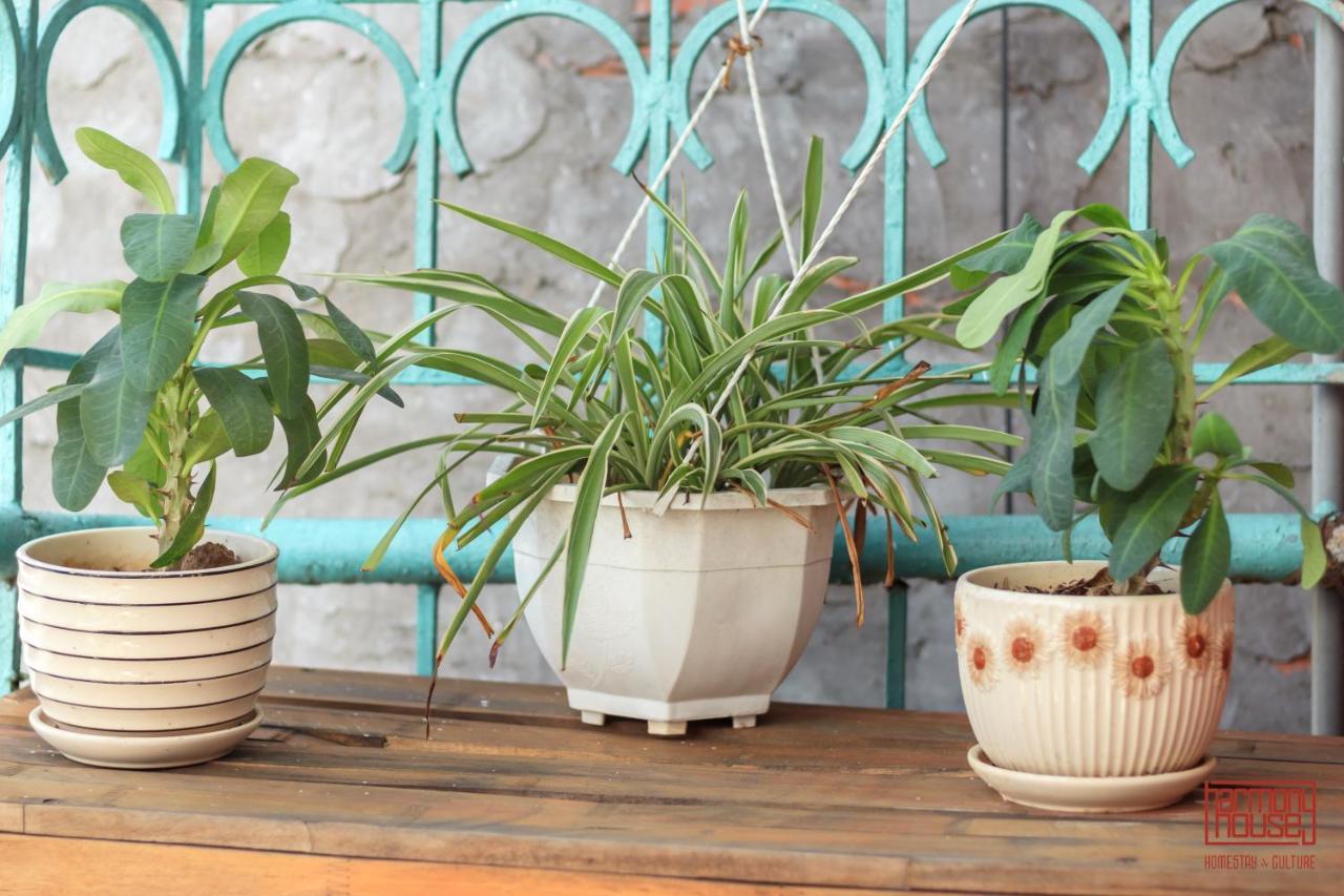 Harmony Homestay - Hanoi Homestay In Old Quarter Dış mekan fotoğraf